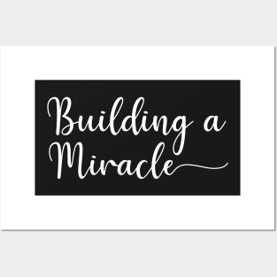 Building A Miracle Posters and Art